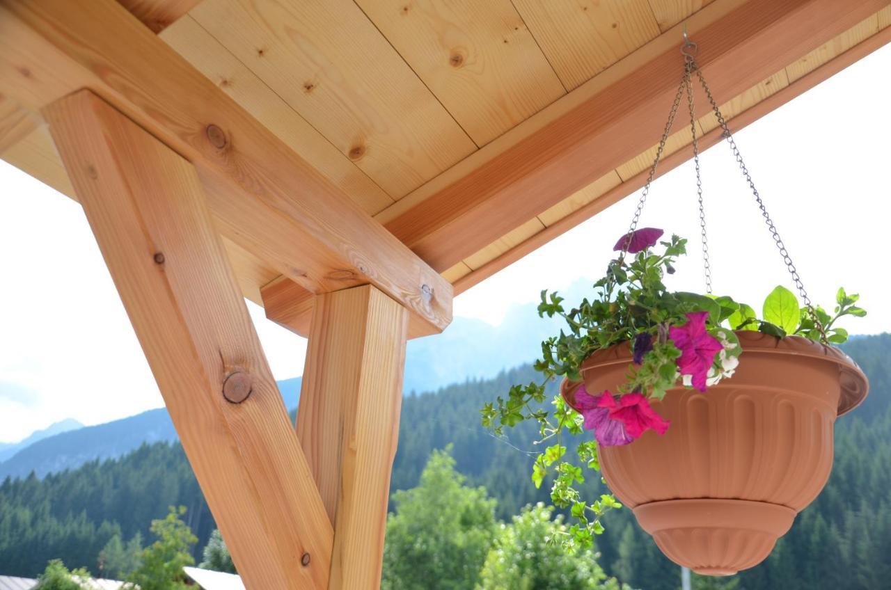 B&B A Ceda Toa San Pietro di Cadore Exterior photo